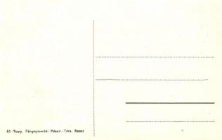 Pischoff-féle katonai repülőgép / Flugmaschine / Military aircraft