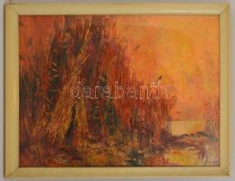 Fegyó Béla (1943-): Táj csendben. Olaj, farost, jelzett, üvegezett keretben, 60×80 cm