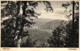 12 db RÉGI és MODERN városképes lap; Dunakanyar / 12 pre-1945 and modern Hungarian town-view postcar...