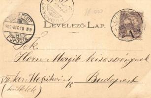 1900 Cegléd, Gőzfürdő, természet- és vízgyógyintézet. Art Nouveau, floral (EK)