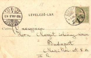 1903 Cegléd, látkép a toronyból, templomok. Kiadja Sárik Gyula (fl)