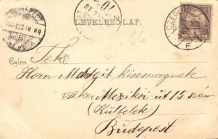 1900 Cegléd, Kossuth tér. Kiadja Piros J. (EK)