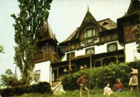 7 db MODERN és RÉGI magyar városképes lap: Zebegény / 7 modern and pre-1945 Hungarian town-view post...