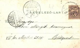 1900 Győr, Széchenyi tér, üzletek, ünnepség, tömeg. Kiadja Berecz Viktor 3588. Art Nouveau, floral, ...