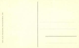 Semaine d'aviation a Mondorf-les-Bains. Saison 1910, Premiers essais d'aviation / Flugwoch...