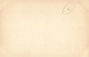 Couple in the forest. Erotic porn art (non PC)