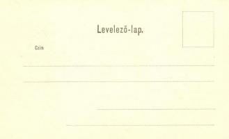 Budapest VIII. Múzeum körút, hirdetőoszlop "1917 Budapest Hadirepülő Kiállítás" So. Stpl