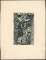 Nagy Sándor: (1868-1950): Ex libris Mi könyvünk. Rézkarc, papír, jelzett a karcon, 15×10 cm