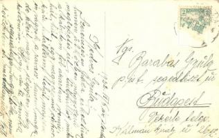 Nyíregyháza, Sóstó gyógyfürdő, Svájci lak