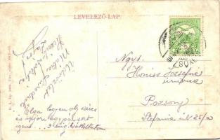 1913 Mátrafüred (Gyöngyös), Eleonora villa. W.L. Bp. 5496. (fl)