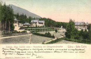 1906 Tátraszéplak, Weszterheim, Tatranska Polianka; Nagyszalóki csúcs, szálloda, nyaralók / Westerheim m. Schlagendorferspitze / Slavkovsky stít / mountain peak, hotel, villa