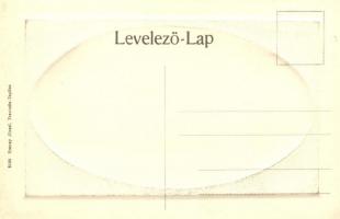 Trencsénteplic, Trencianske Teplice; Nyaralók. kiadja Ucsnay József 5109. / Villenviertel / Villas