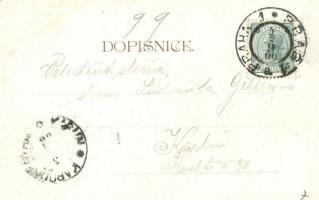 1900 Praha, Prague; Smichov, Zofín Palace interior. F. Neubert Art Nouveau, floral, litho (worn corn...