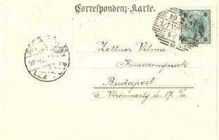 1901 Wien, Vienna, Bécs; Karlskirche / church. Coat of arms. Passepartoutkarte Serie No. 1271. Ed. A...