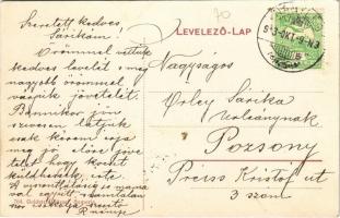 Nagylég, Velké Lehnice, Velki Leg; Benyovszky kastély. Kiadja Goldstein József / castle (ázott sarok...