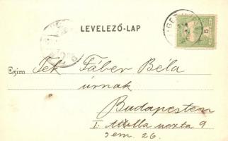 1903 Szigetújfalu, Weisz István vendéglője