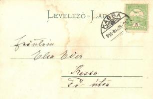 1910 Kéked-fürdő, Melczer-féle uradalmi kastély, Hajts Kornél felvétele (fl)