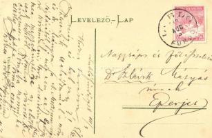 1918 Lubló-fürdő, Kúpele Lubovna; Fenyő csoport / pinetrees