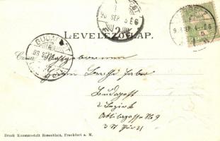 1903 Versec, Vrsac, Werschetz; elemi iskolák, Honvéd emlékszobor, Ferencz József tér. Lóherés litho ...