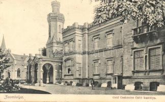 1909 Zsombolya, Hatzfeld, Jimbolia; Gróf Csekonics Csitó kastélya / castle