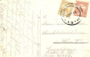 Tegetthoff gőzüzemű oldalkerekes személyhajó a péterváradi hajóhíddal, vár / Hungarian passenger ste...