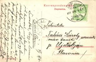 Brod, Bosanski Brod; general view, boat. W. L. Bp. 9992. (EK)