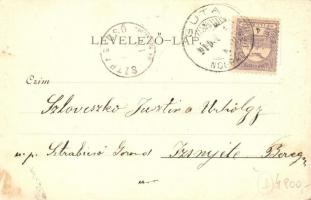 1900 Aszód, Evangélikus leány nevelő intézet és Petőfi gimnázium. Schrecker Mihály fényképész, flora...