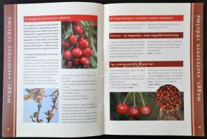 Vegyes kertészettel kapcsolatos kiadványok: dr. Csepregi Pál - Zilai János: Szőlőfajták, szőlőmetszé...