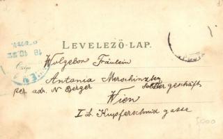 1899 (Vorläufer!) Budapest, Főgimnázium, Gellérthegy, Eötvös szobor. Kunstasntalt Rosenblatt Art Nou...