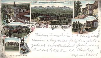 1898 Huszpark Litho