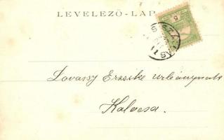 1903 Kisszállás, San Martino olasz herceg kastélya (EK)