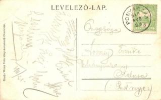 1910 Ponyászka, Poneasca (Bozovics, Bozovici); Felső park. Weisz Félix kiadása / Obere park / Upper ...