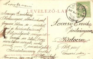 1909 Homonna, Homenau, Humenné; Andrássy Sándor gróf várkastélya, tó. Hossza Gyula kiadása / castle,...