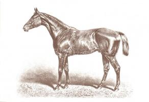 3 db MODERN és RÉGI városképes  és motívum lap: Kisbér, kisbéri ló / 3 pre-1945 and modern Hungarian...