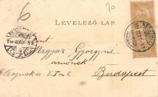 1901 Keszthely, Római katolikus főgimnázium, Fő utca, Balaton fürdő, Gazdasági tanintézet, Gróf Fest...