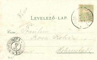 1900 Keszthely, Római katolikus főgimnázium, Fő utca, Fürdőszigetek, Hullám vendéglő, Balaton szálló...