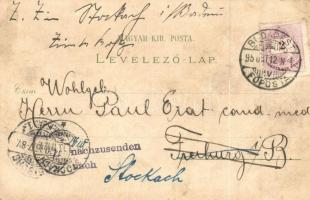 1895 (Vorläufer!!) Budapest, Népszínház, Várkert rakpart, Margit fürdő. Szőlős, Art Nouveau litho (E...