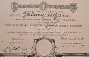 1893 Az Országos Iparegyesület díszes oklevele Meissner (Mészner) Alajos (1835-?) ny. vasúti főmérnö...