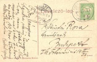 1909 Melence, Melenci, Melencze; Fő utca, üzlet. W. L. (?) 1024. / Hauptgasse / main street, shop (E...