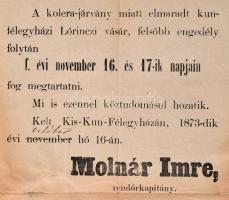 1873 Kiskunfélegyháza, hirdetmény a kolerajárvány miatt elmaradt Lőrinc-napi vásár megtartásáról, 34...