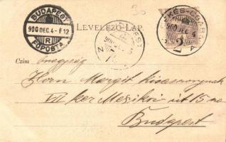 1900 Békéscsaba, Evangélikus nagy és kis templom, Artézi kút a Kossuth téren (apró szakadás / tiny t...