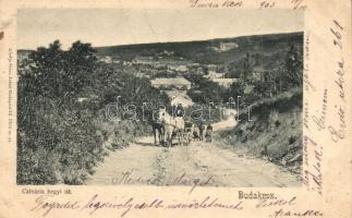 1903 Budakeszi, Calvária (Kálvária) hegyi út, lovaskocsi. Kiadja Stern Jakab (EK)