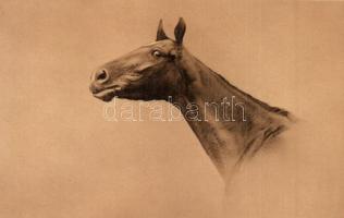 4 db RÉGI lovas motívumlap / 4 pre-1945 horse motive postcards, in good condition