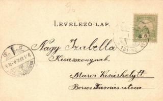 1901 Marosludas, Ludus; utcakép, Kompász János üzlete. Weinrich S. udv. fényképész képe után / stree...