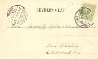 1904 Segesvár, Schässburg, Sighisoara; Alberthaus, Knabeninternat mit Stundturm u. ev. Kirche / Albe...