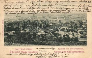 1903 Nagyvárad, Oradea; látkép. Kiadja Helyfi László / general view (EK)