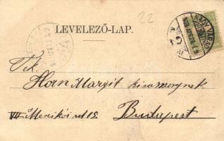 1903 Nagyvárad, Oradea; látkép. Kiadja Helyfi László / general view (EK)