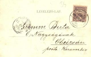 1901 Oravica-Anina, Oravita-Anina; Gebirgsbahn, Viaduct im Zsittin Thal / Vasúti hegyipálya, Zsittin...