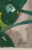 Bor jelzéssel: Tetőtéri csendélet. Olaj, vászon, 44×50 cm