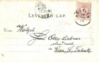 1897 (Vorläufer!) Vágújhely, Neustadt an der Waag, Nové Mesto nad Váhom; Fő tér, templom, üzletek. K...